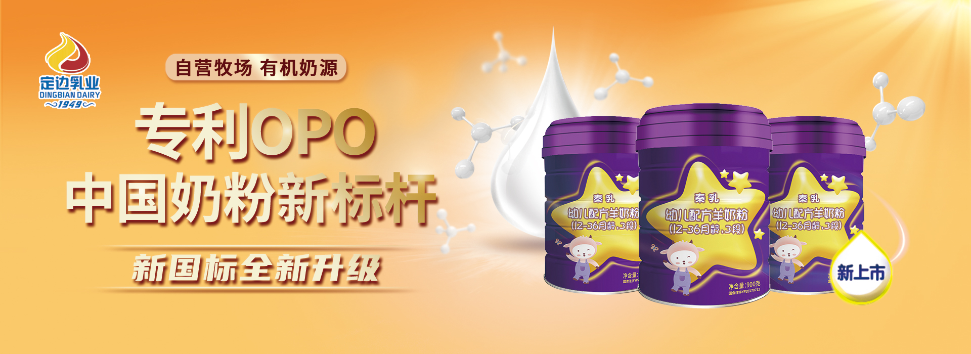 定邊乳業（全稱：陜西省定邊縣乳品實業有限公司），是一家專業的乳制品制造商，專注乳品的研發和經營。